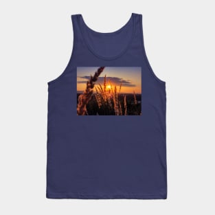 through the golden reed Tank Top